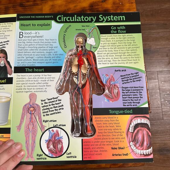 Vintage 2002 Uncover HUMAN BODY 3-D Anatomy Hardcover Book - Picture 6 of 12